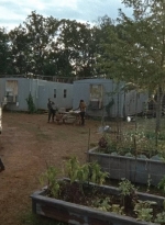 twd0611-3425.jpg