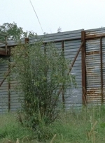twd0612-0127.jpg
