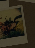 twd0612-2855.jpg