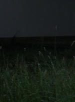 twd0612-3254.jpg