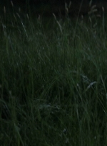 twd0612-3256.jpg