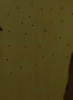 twd0612-3314.jpg