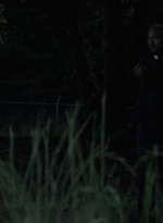 twd0612-3413.jpg
