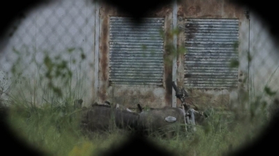 twd0613-0129.jpg