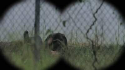 twd0613-0131.jpg