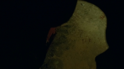 twd0613-0431.jpg