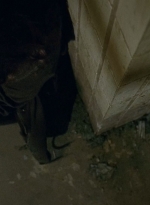 twd0613-0556.jpg