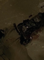 twd0613-2567.jpg