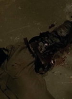 twd0613-2570.jpg