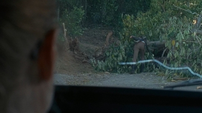 twd0614-0840.jpg