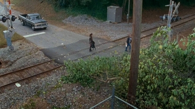 twd0614-0924.jpg