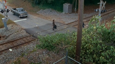 twd0614-0925.jpg