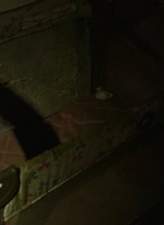 twd0614-1754.jpg