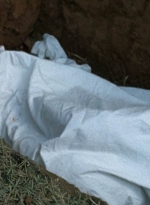 twd0614-3219.jpg