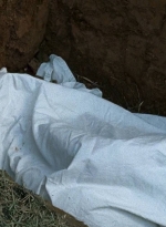 twd0614-3220.jpg