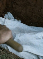 twd0614-3221.jpg