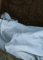twd0614-3224.jpg