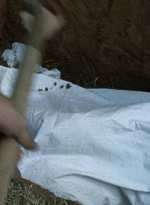 twd0614-3225.jpg