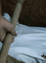 twd0614-3226.jpg