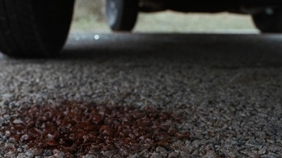 twd0615-0030.jpg