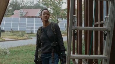 twd0615-0497.jpg