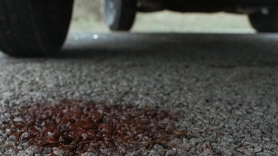 twd0615-1568.jpg