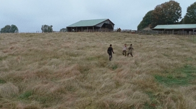 twd0615-2902.jpg