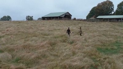 twd0615-2904.jpg