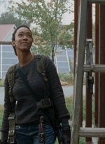 twd0615-0493.jpg