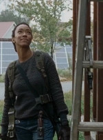 twd0615-0494.jpg