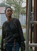 twd0615-0497.jpg