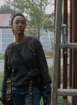 twd0615-0498.jpg