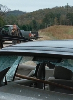 twd0615-1465.jpg