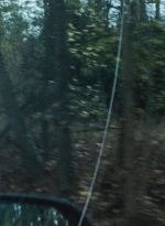 twd0615-1736.jpg