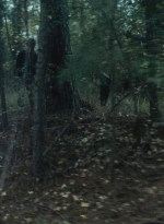 twd0615-1738.jpg