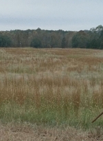 twd0615-2151.jpg