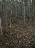 twd0615-2587.jpg