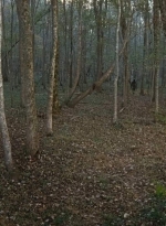 twd0615-2588.jpg