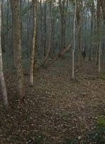 twd0615-2589.jpg