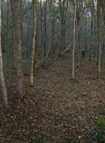 twd0615-2591.jpg