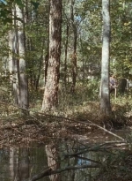 twd0615-2599.jpg