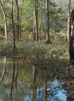 twd0615-2622.jpg