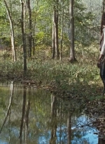 twd0615-2623.jpg
