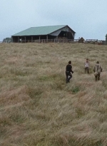 twd0615-2900.jpg