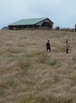 twd0615-2905.jpg
