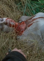 twd0615-2913.jpg