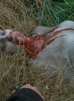 twd0615-2914.jpg