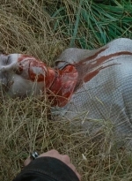 twd0615-2916.jpg