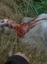 twd0615-2917.jpg