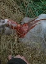 twd0615-2918.jpg
